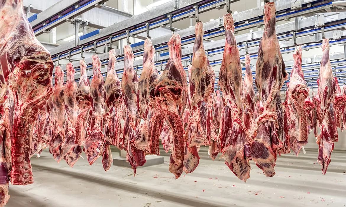 Cota de carne bovina para China em 2027 pode esgotar já em abril